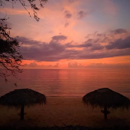 Hotel Trinco Beach By Dsk Trincomalee Exteriér fotografie